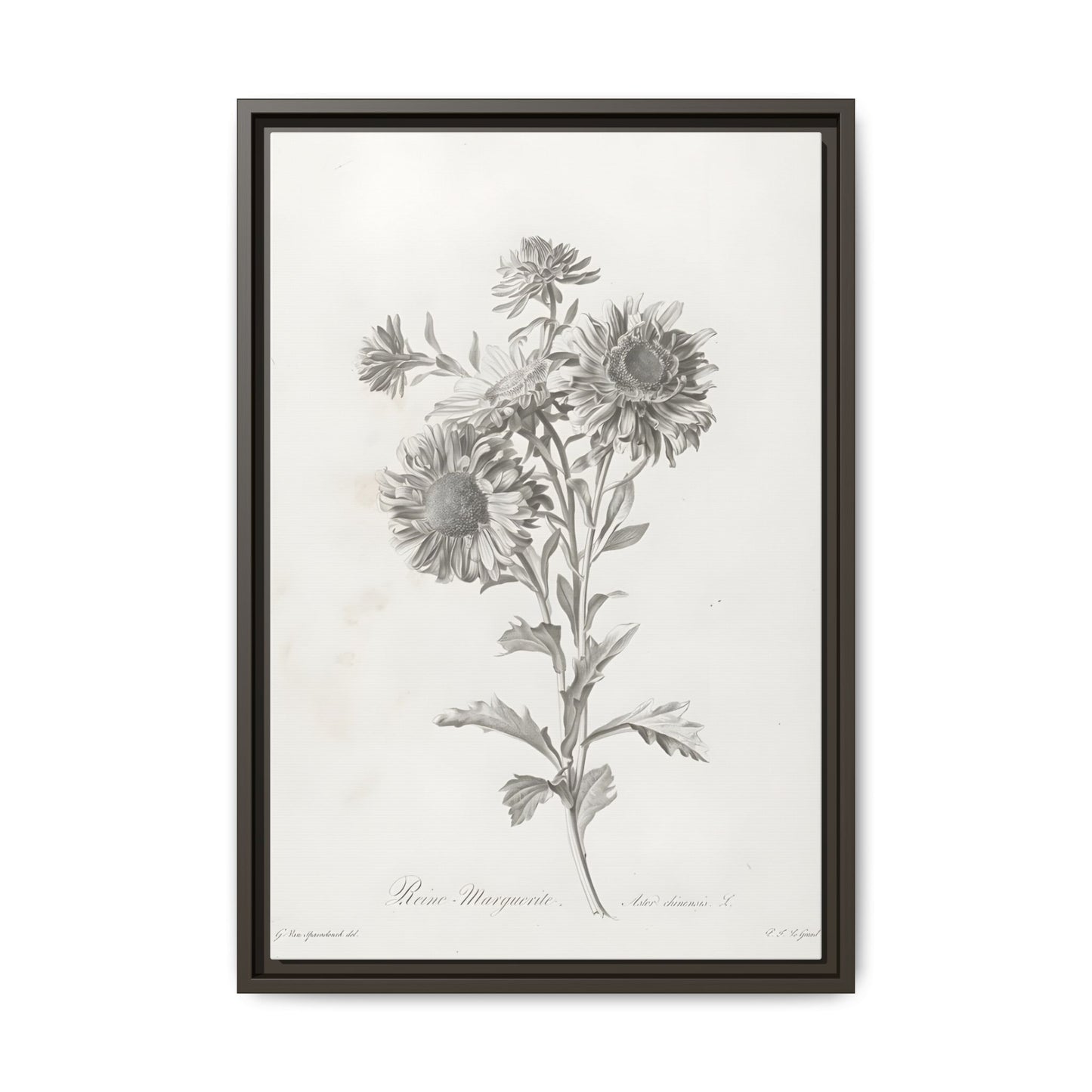 Matte Canvas, Framed (Multi-color)