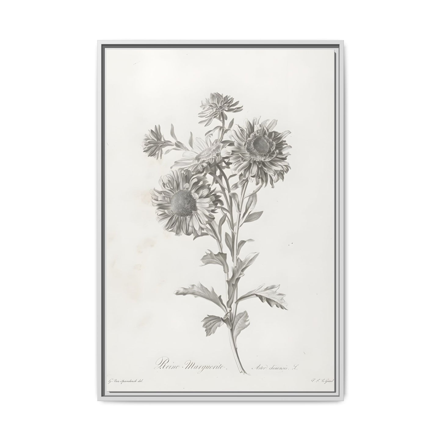 Matte Canvas, Framed (Multi-color)
