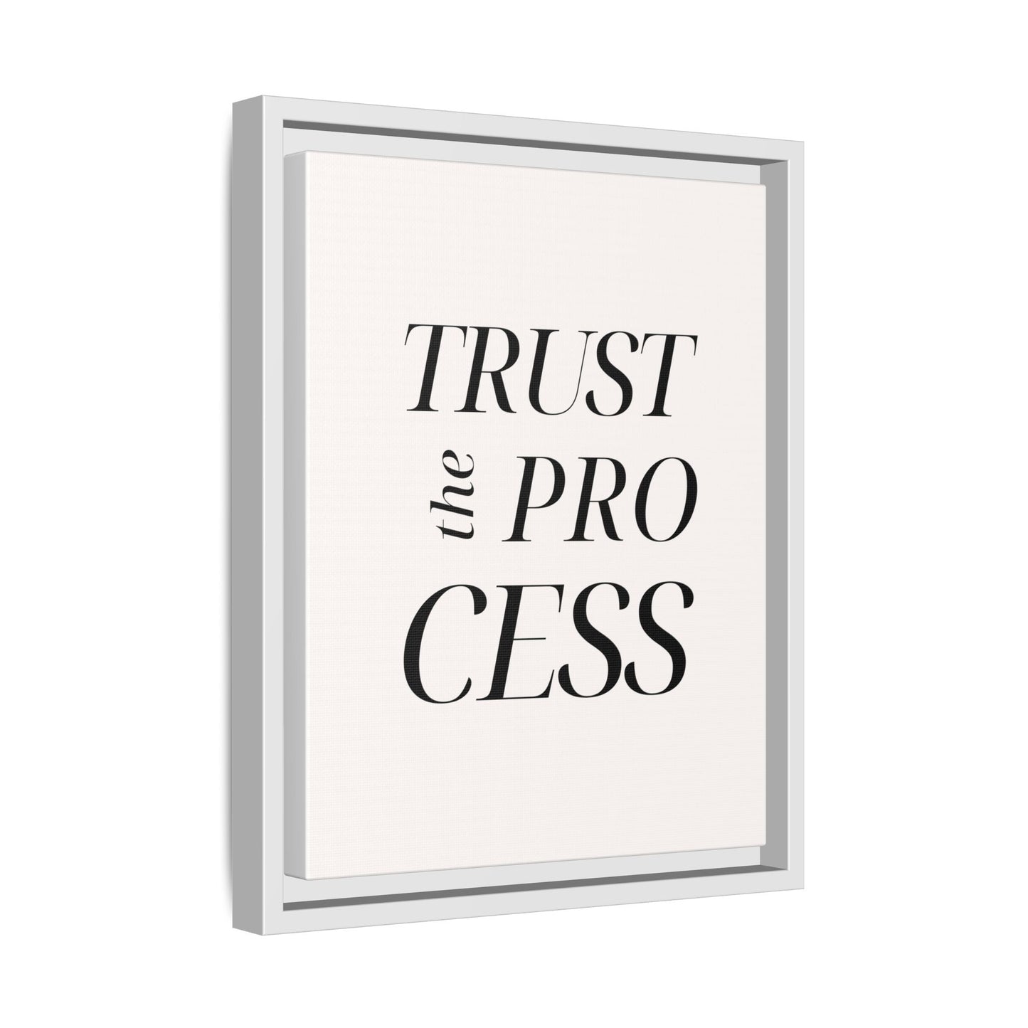 Inspirational Framed Canvas Wall Art - 'Trust the Process'