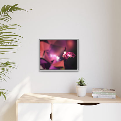 Framed Matte Canvas Abstract Art Print - Multi-Color Décor