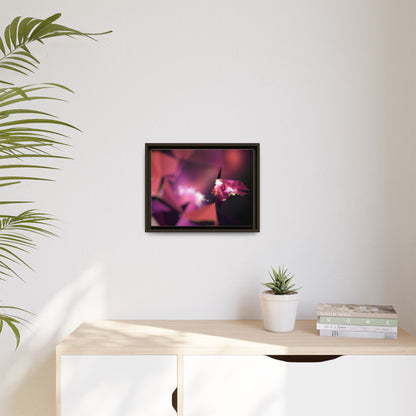 Framed Matte Canvas Abstract Art Print - Multi-Color Décor