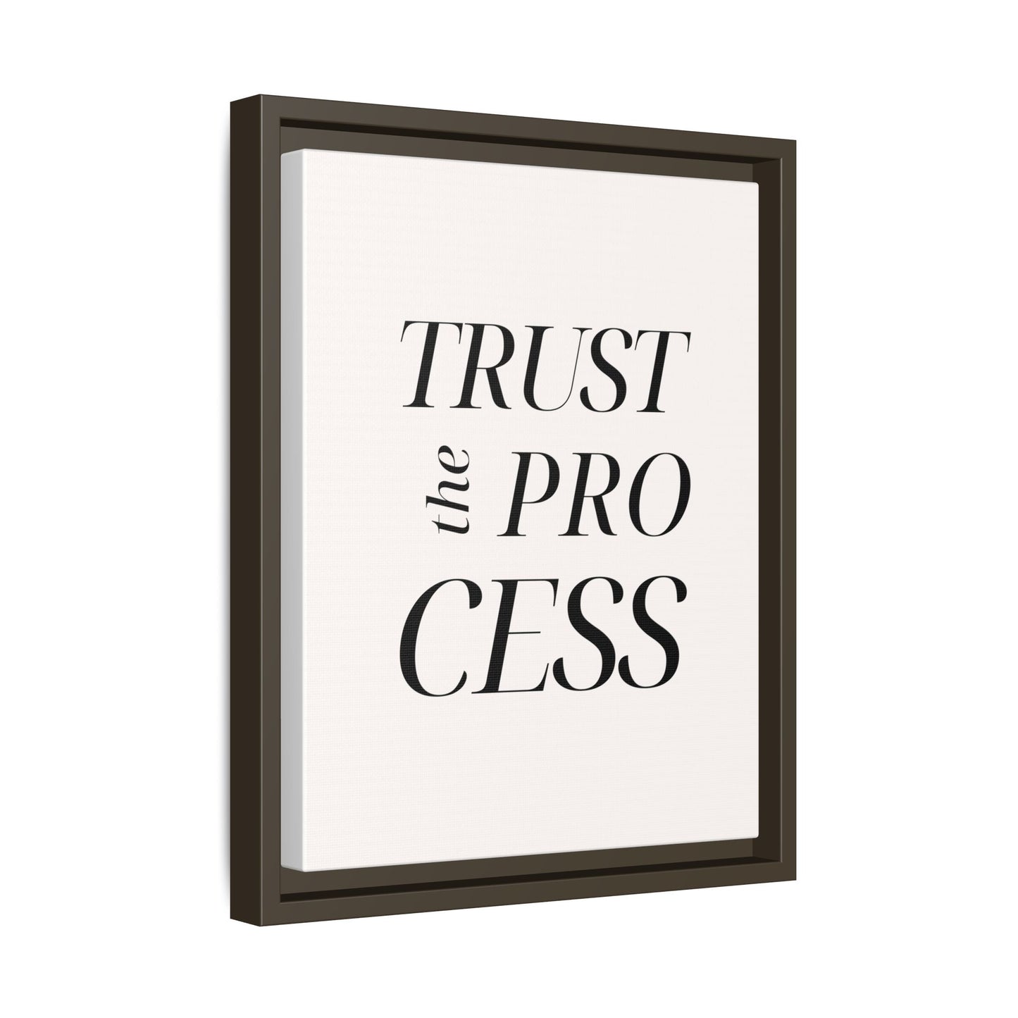 Inspirational Framed Canvas Wall Art - 'Trust the Process'