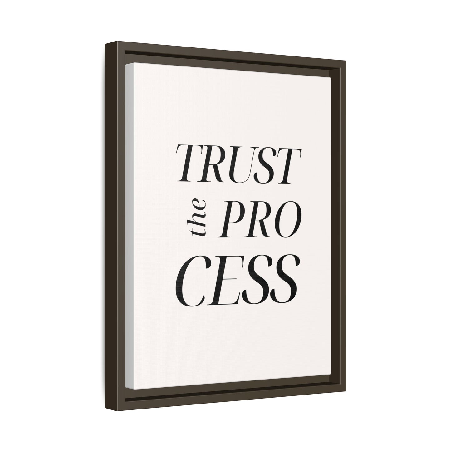 Inspirational Framed Canvas Wall Art - 'Trust the Process'