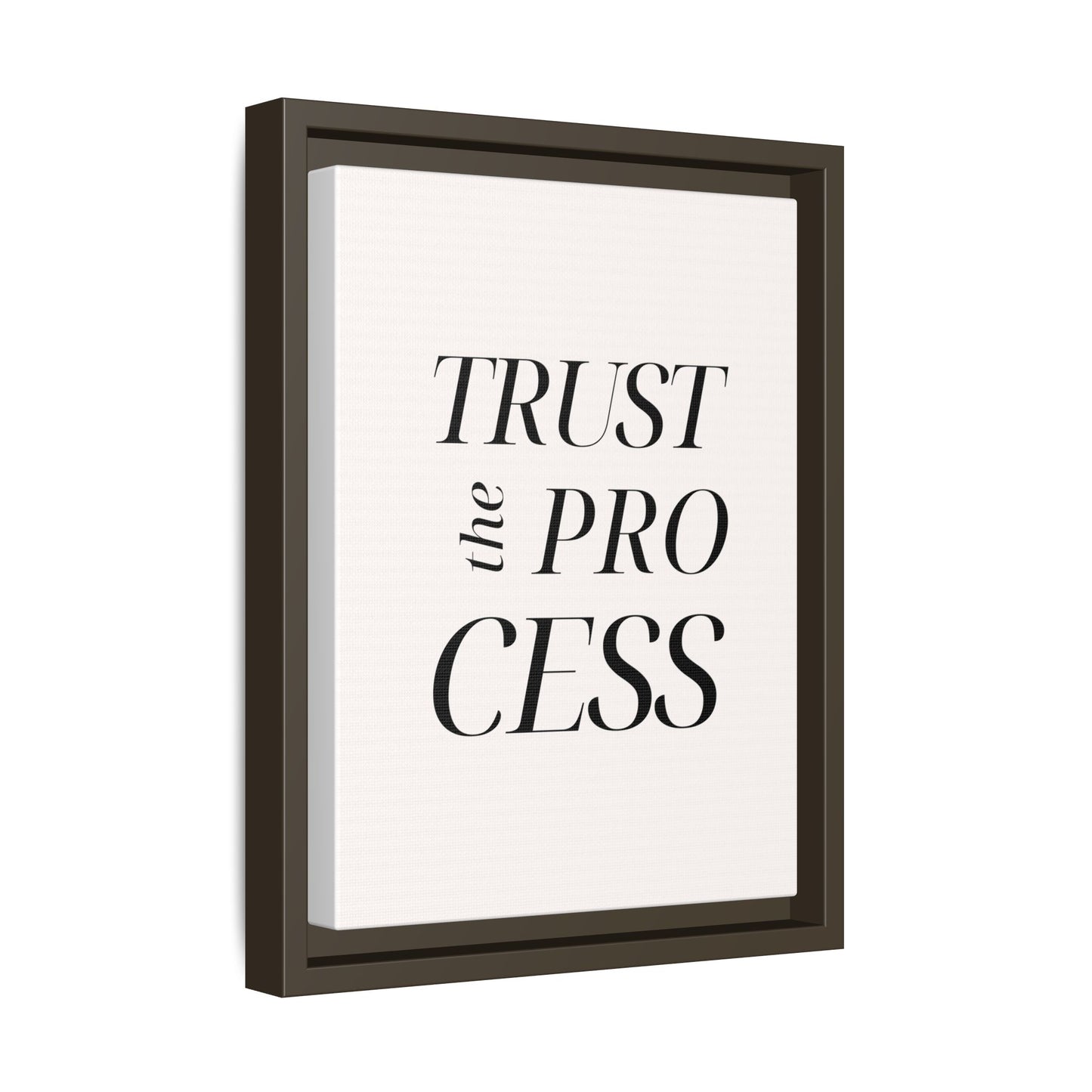 Inspirational Framed Canvas Wall Art - 'Trust the Process'